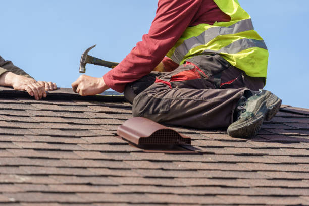 Best Gutter Installation and Roofing  in Mascot, TN